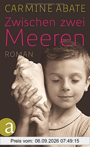 Zwischen zwei Meeren: Roman