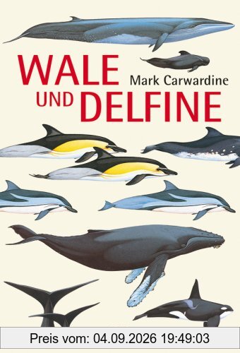 Wale und Delfine
