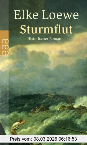 Elke Loewe Sturmflut, Historischer Roman