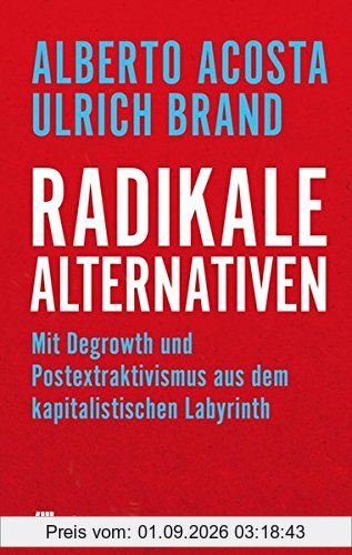 Radikale Alternativen: Warum man den Kapitalismus nur mit vereinten Kräften überwinden kann