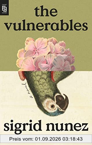 The Vulnerables: A Novel