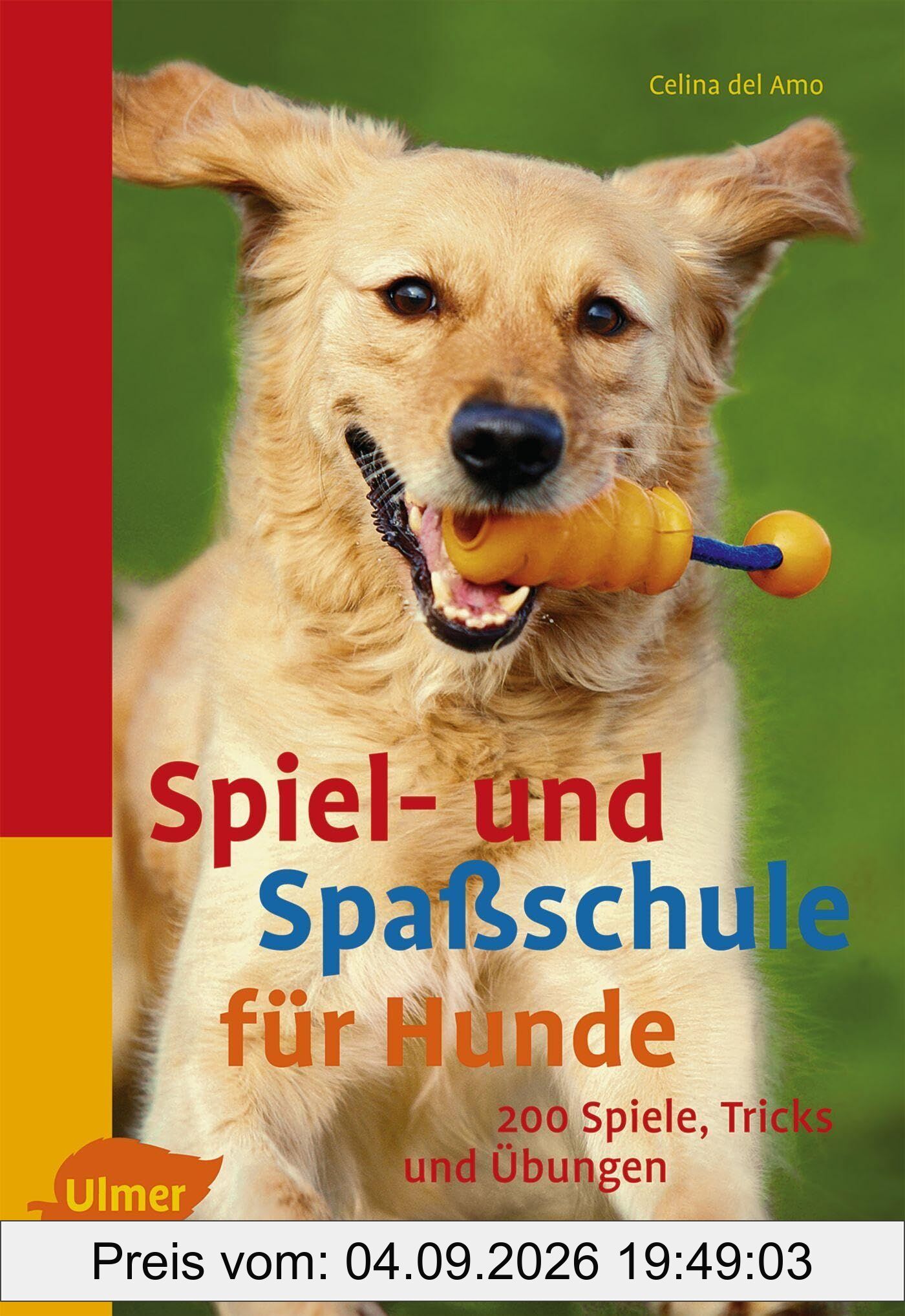 Spiel- und Spaßschule für Hunde