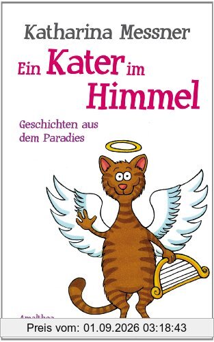 Ein Kater im Himmel