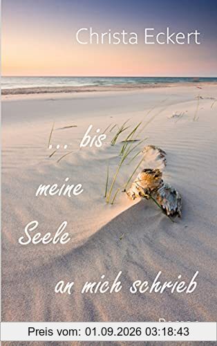 Bis meine Seele an mich schrieb: Roman