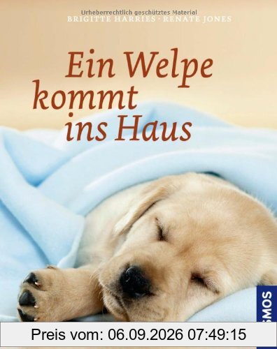 Ein Welpe kommt ins Haus
