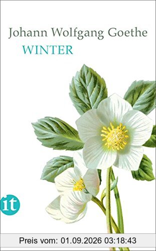 Winter (insel taschenbuch)