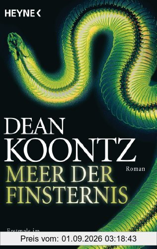 Meer der Finsternis: Odd Thomas 4