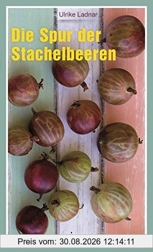 Die Spur der Stachelbeeren: Ein historischer Roman
