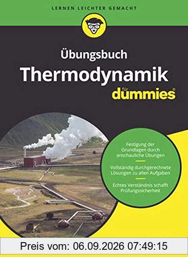 Übungsbuch Thermodynamik für Dummies