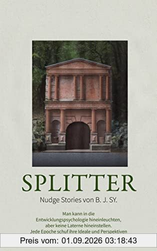 Splitter: Nudge-Storys von B.J.SY