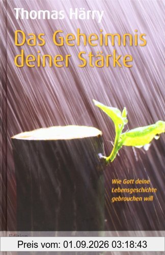 Das Geheimnis deiner Stärke: Wie Gott deine Lebensgeschichte gebrauchen will
