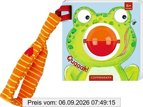 Mein erstes Kugel-Buggybuch: Quaaak!