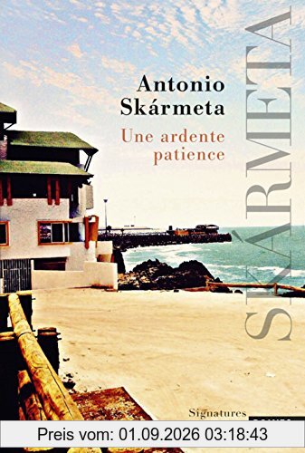 Une ardente patience