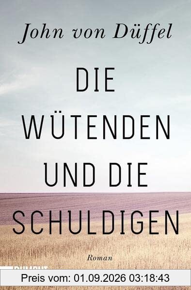 Die Wütenden und die Schuldigen: Roman