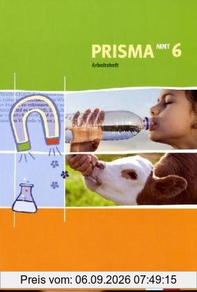 Prisma Mensch - Natur - Technik für Thüringen. Arbeitsheft 6. Schuljahr