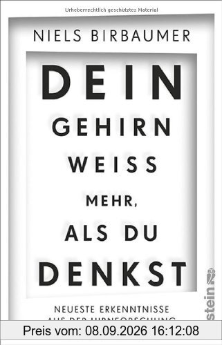 Dein Gehirn weiß mehr, als du denkst: Neueste Erkenntnisse aus der Hirnforschung
