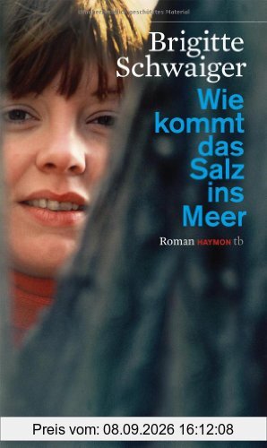 Wie kommt das Salz ins Meer. Roman (Haymon-Taschenbuch)