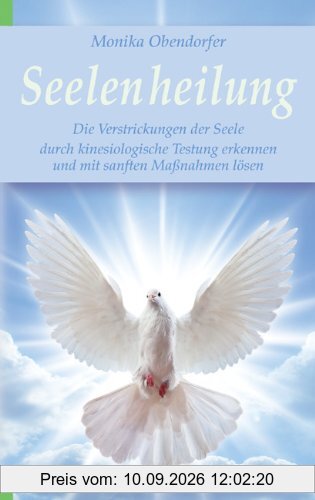 Seelenheilung: Die Verstrickungen der Seele mit kinesiologischer Testung erkennen und mit sanften Maßnahmen lösen