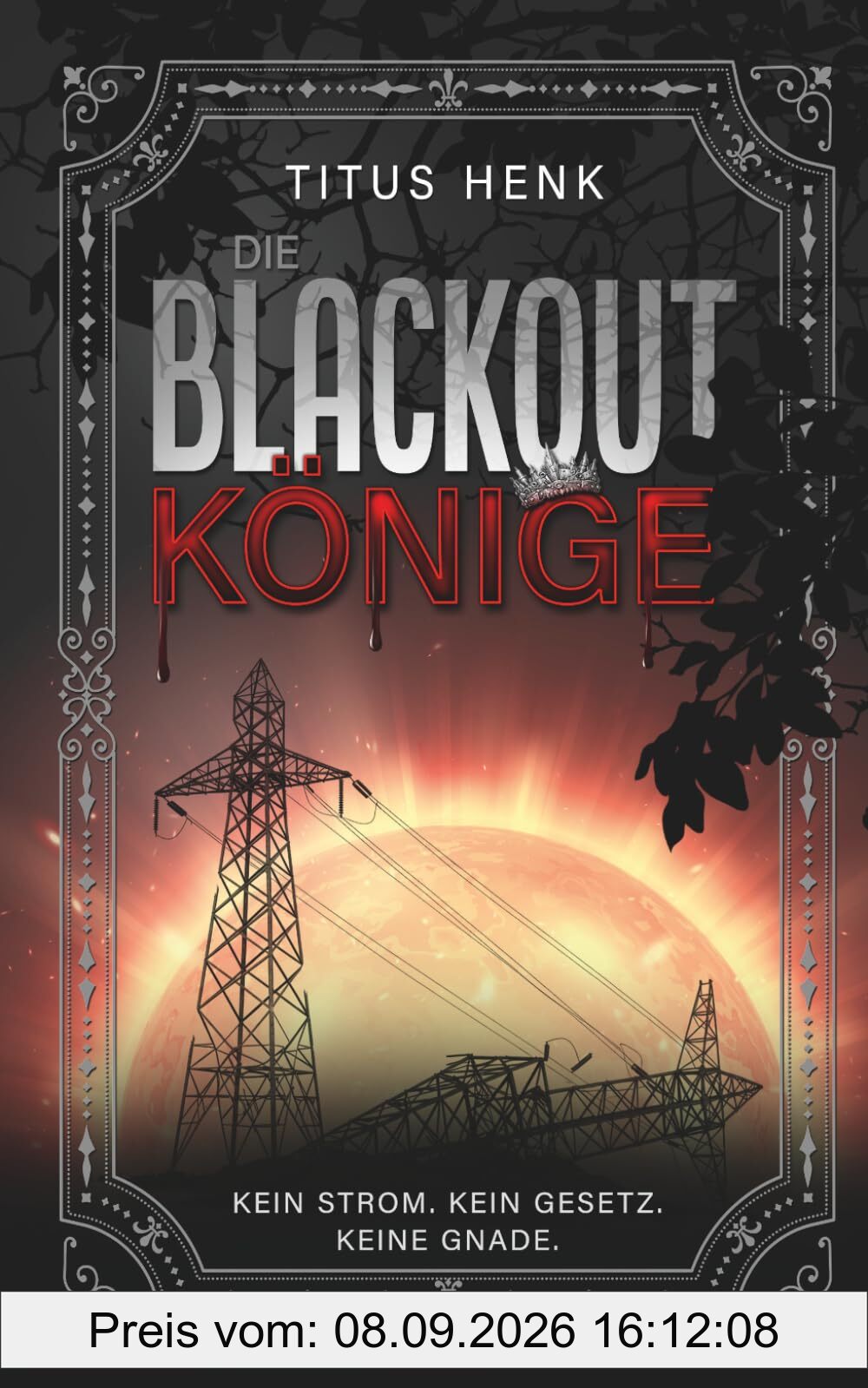 Die Blackout Könige: Kein Strom. Kein Gesetz. Keine Gnade - Band 1