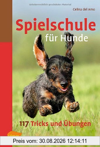 Spielschule für Hunde