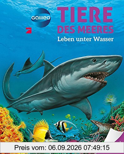 Galileo Wissen: Tiere des Meeres: Leben unter Wasser