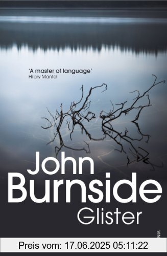 Binding : Taschenbuch, Label : Vintage, Publisher : Vintage, NumberOfItems : 1, medium : Taschenbuch, numberOfPages : 272, publicationDate : 2009-05-07, releaseDate : 2014-04-03, authors : John Burnside, languages : english, ISBN : 0099507846