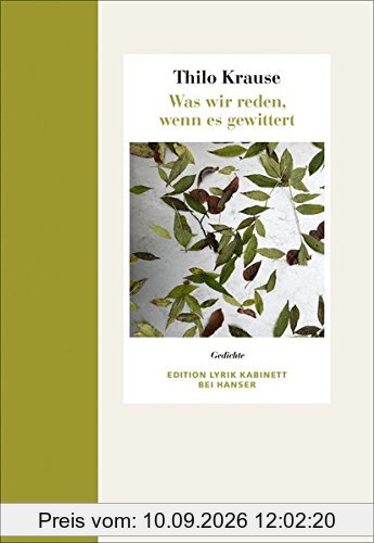 Was wir reden, wenn es gewittert: Gedichte. Edition Lyrik Kabinett