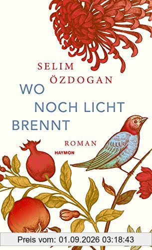 Wo noch Licht brennt: Roman