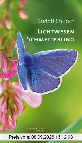 Lichtwesen Schmetterling: Drei Vorträge mit ergänzenden Ausführungen