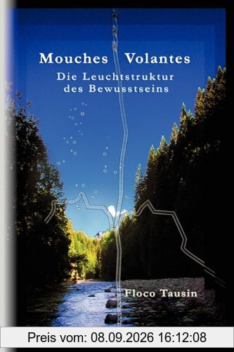Mouches Volantes: Die Leuchtstruktur des Bewußtseins