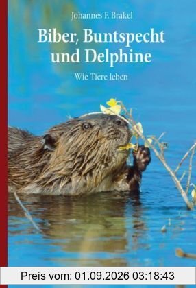 Biber, Buntspecht und Delphine: Wie Tiere leben