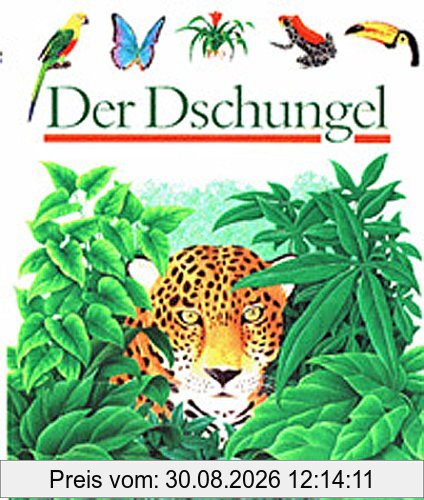 Der Dschungel