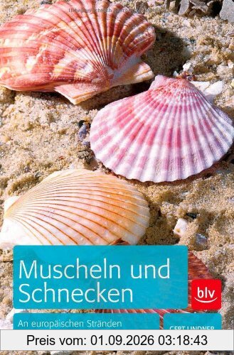 Muscheln und Schnecken: An europäischen Stränden sammeln und bestimmen