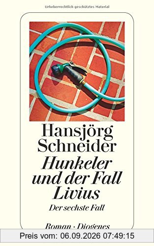 Hunkeler und der Fall Livius: Der sechste Fall (detebe)