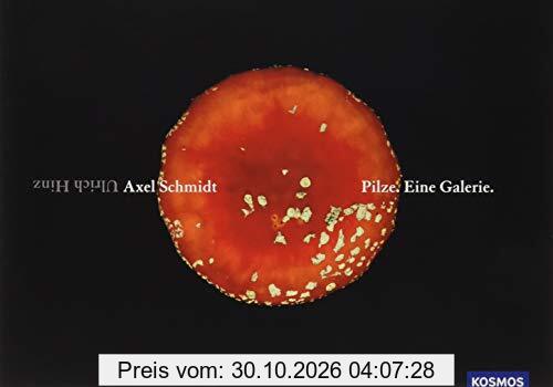 Pilze. Eine Galerie