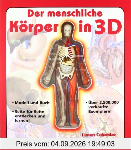 Der menschliche Körper in 3D