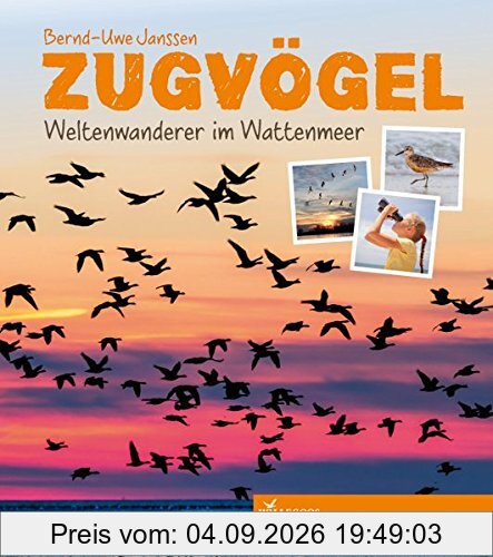 Zugvögel: Weltenwanderer im Wattenmeer