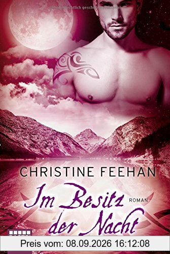 Im Besitz der Nacht: Roman (Die Karpatianer, Band 27)