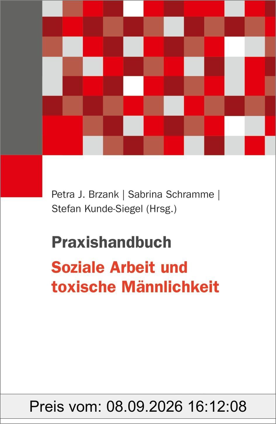 Praxishandbuch Soziale Arbeit und toxische Männlichkeit