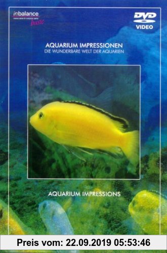 Gebr. - Aquarium Impressionen