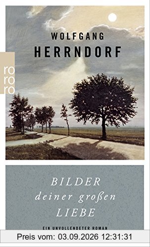 Bilder deiner großen Liebe: Ein unvollendeter Roman