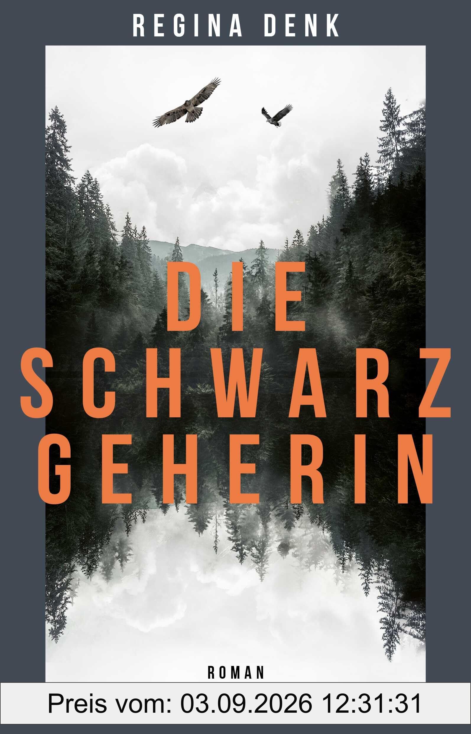 Die Schwarzgeherin: Roman