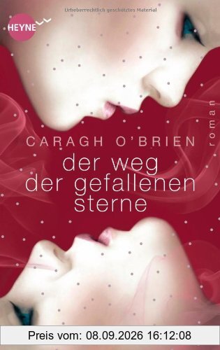 Der Weg der gefallenen Sterne: Roman (Heyne fliegt)