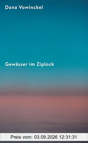 Gewässer im Ziplock: Roman | Ein Sommer zwischen Berlin, Chicago und Jerusalem | Ein mitreißendes, Kontinente umspannendes Porträt jüdischen Lebens heute