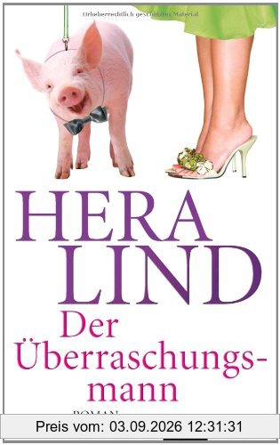 Der Überraschungsmann: Roman