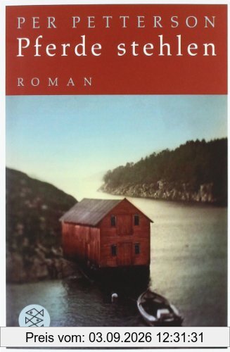 Pferde stehlen. Roman