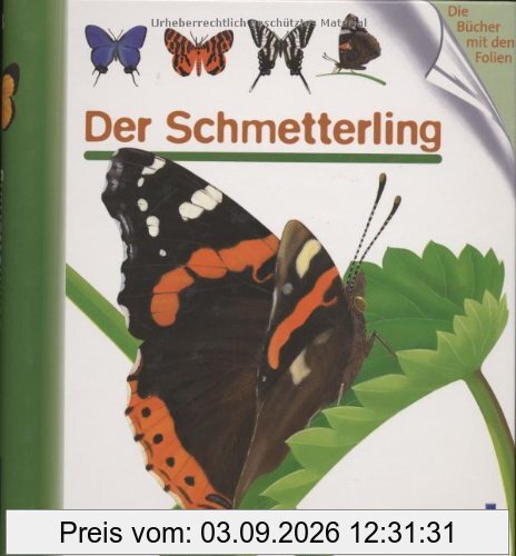 Der Schmetterling