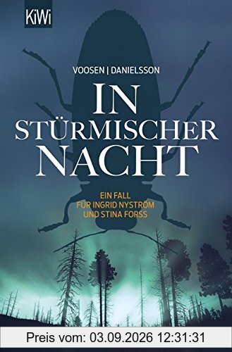 In stürmischer Nacht: Ein Fall für Ingrid Nyström und Stina Forss (Die Kommissarinnen Nyström und Forss ermitteln, Band 4)