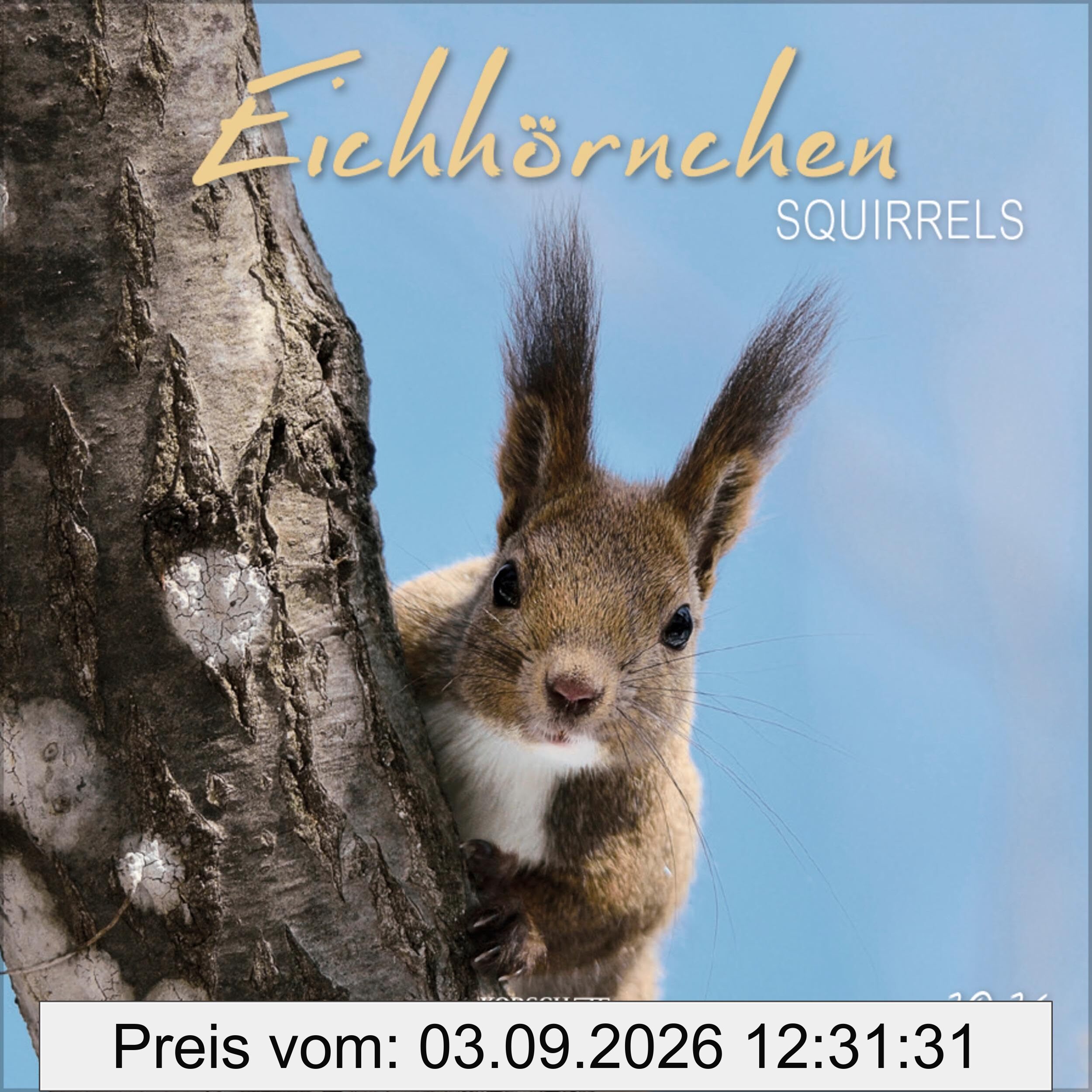 Eichhörnchen 2026