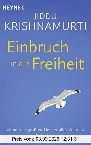 Einbruch in die Freiheit